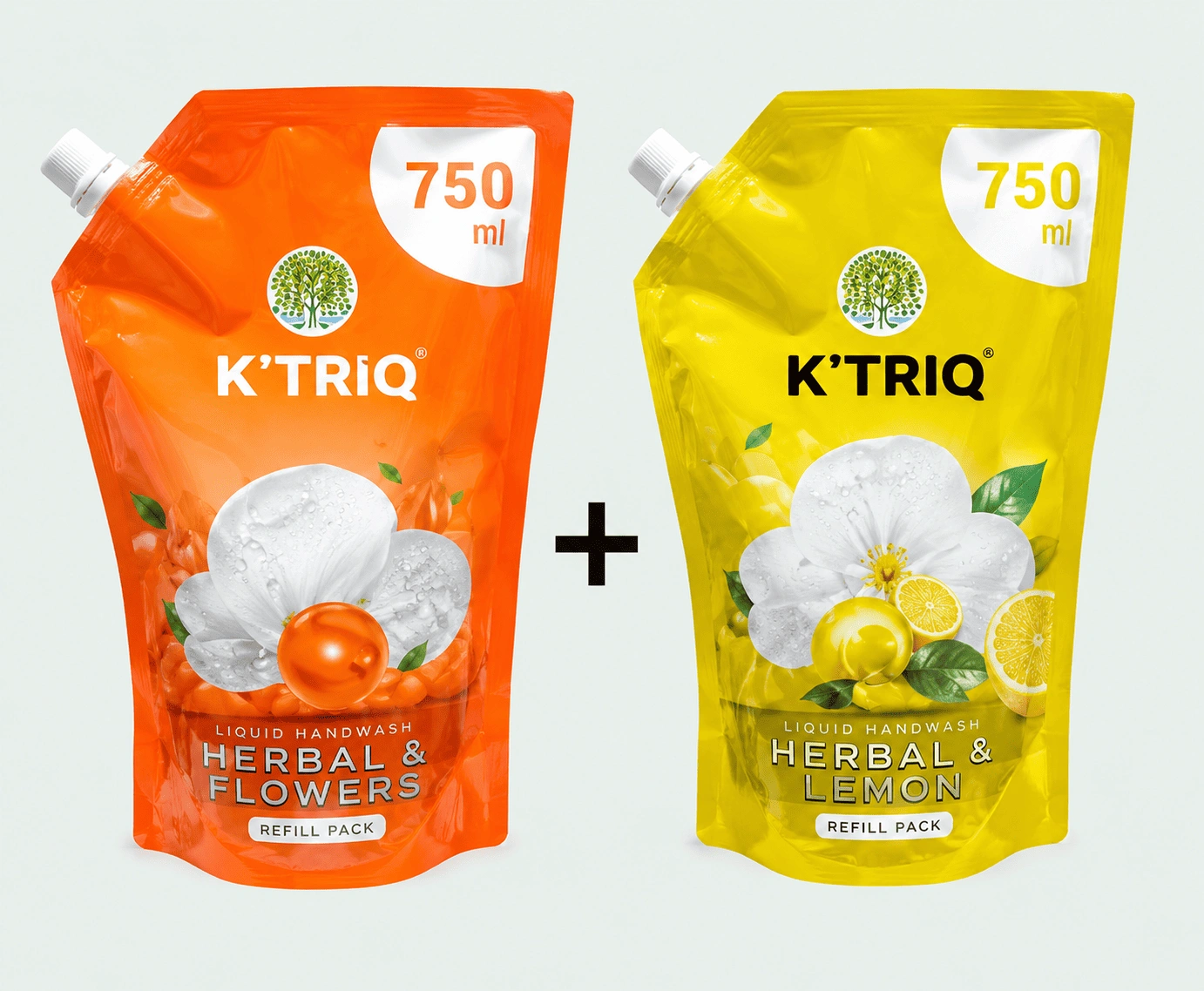 KTRIQ DISH WASH (LIQUID CONCENTRATE 750ML)